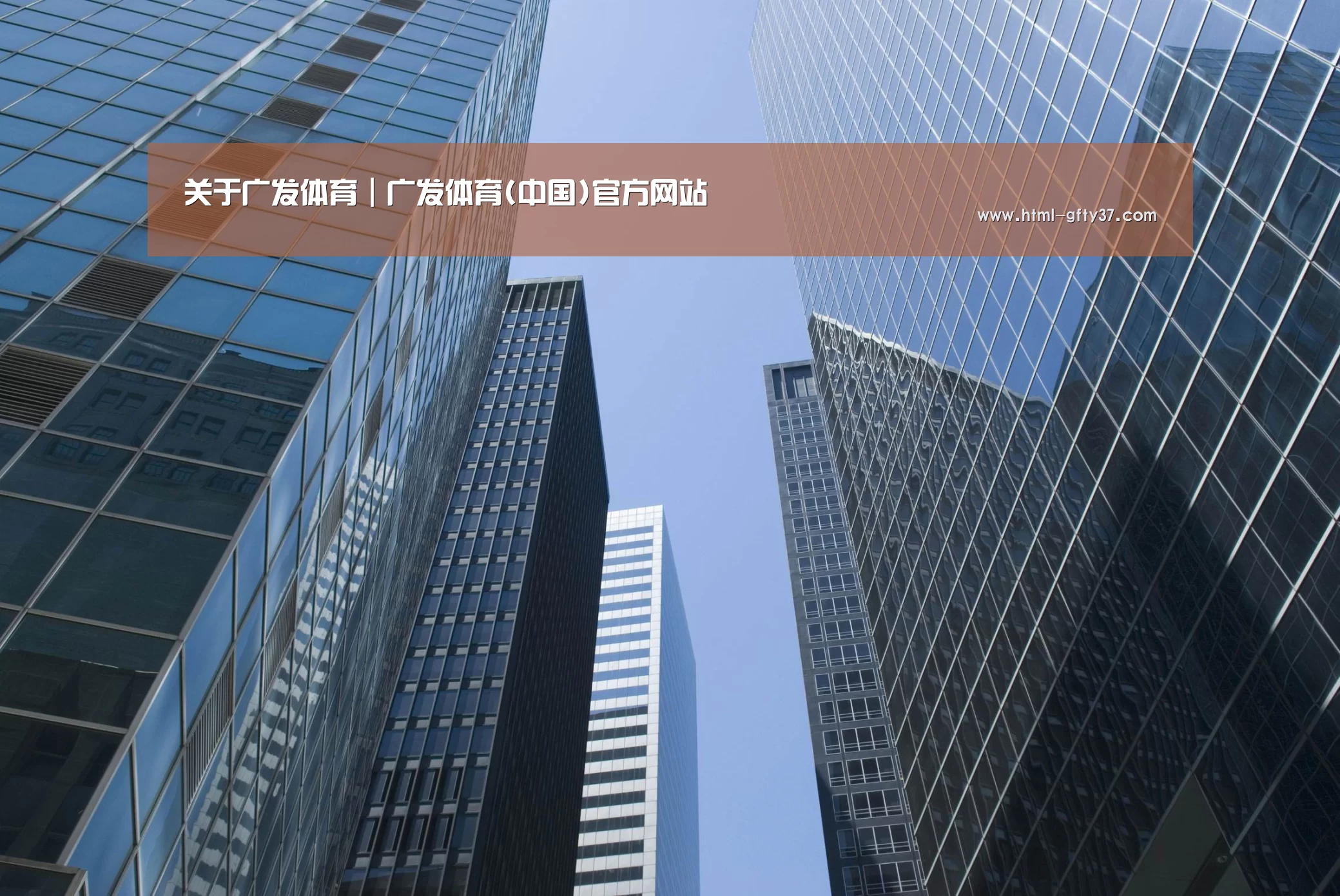 广发体育公司简介 