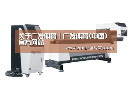 案例展示三