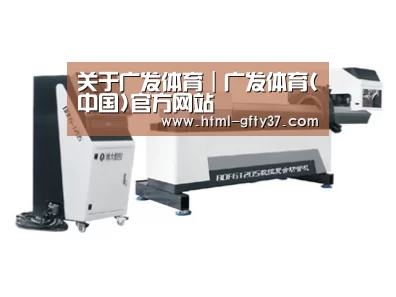 案例展示四