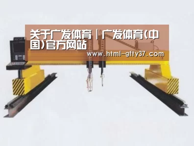 产品名称十七