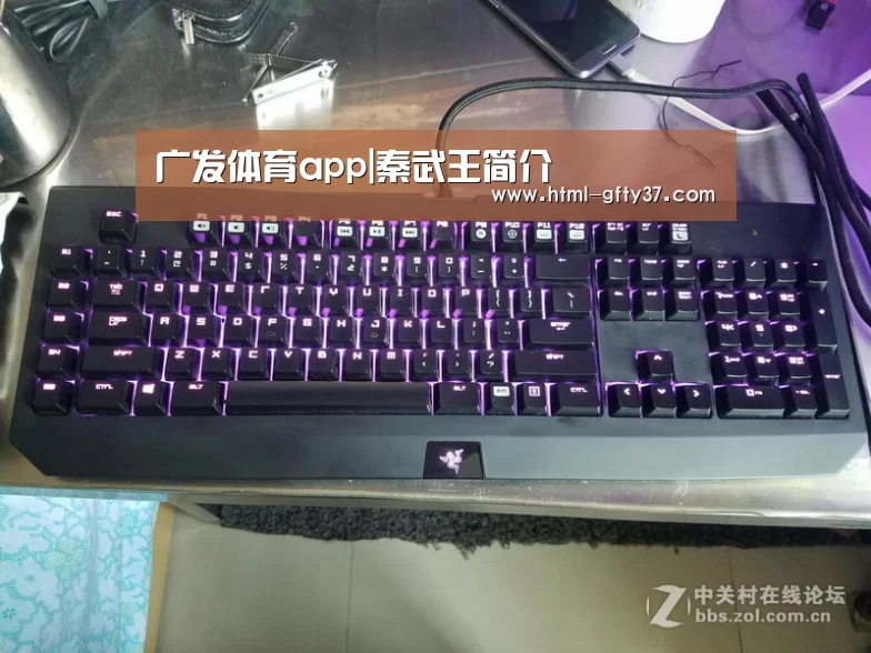 广发体育app|秦武王简介