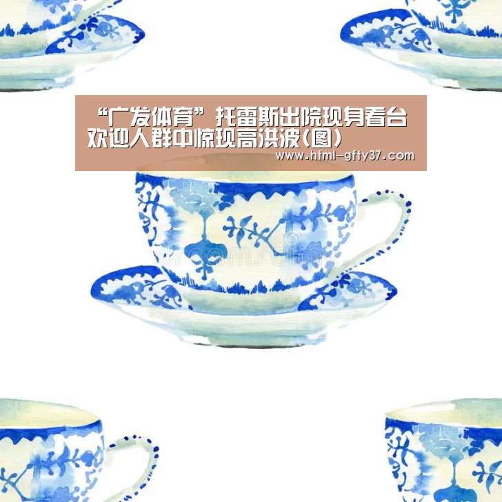 广发体育app