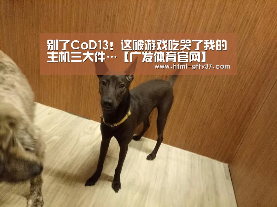 广发体育官网