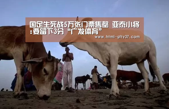 广发体育官网