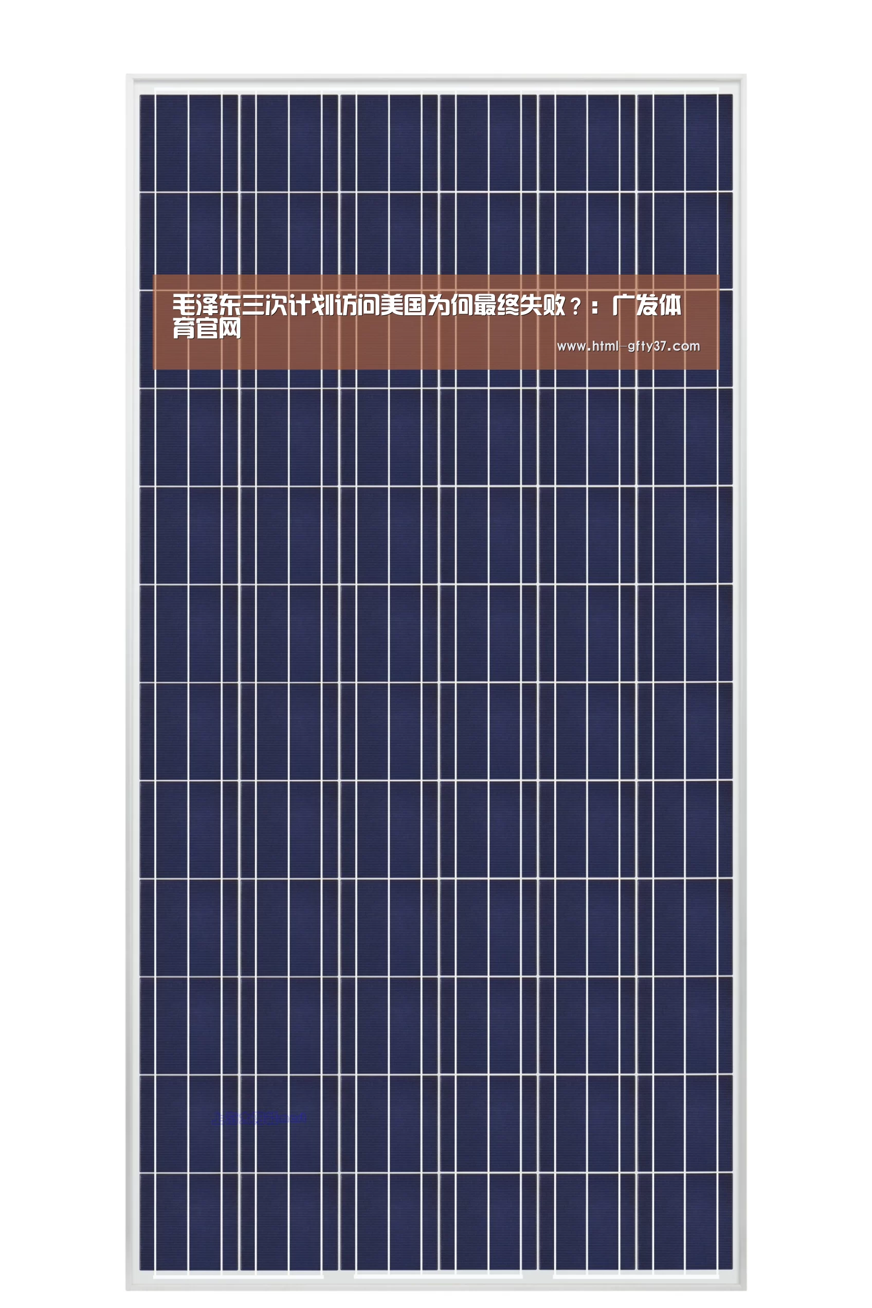 毛泽东三次计划访问美国为何最终失败?:广发体育官网(图3) 广发体育官网